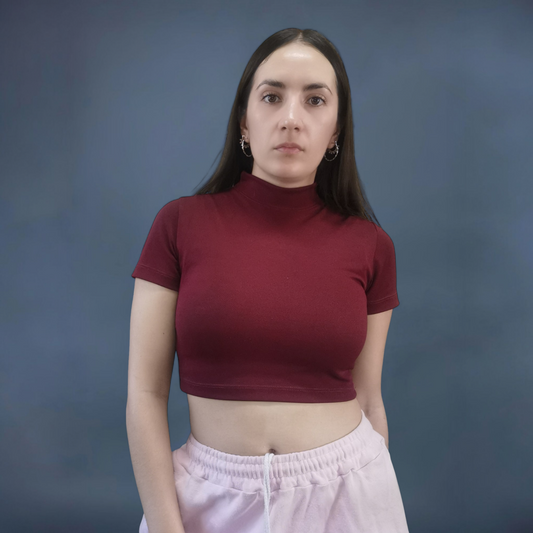 BLUSA CUELLO ALTO MANGA CORTA